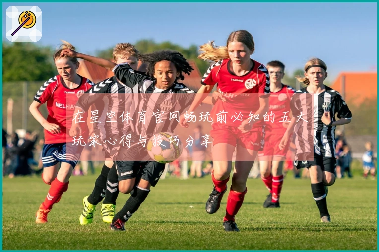 在星空体育官网畅玩前必知的五大玩家心得与技巧分享