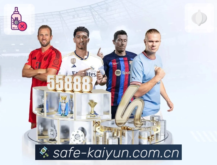 <strong>开云</strong>App 实景图